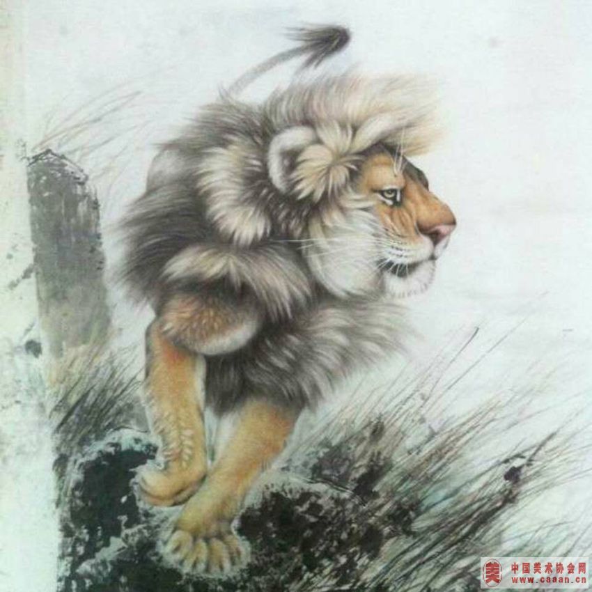 ������Ʒ